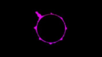 vibrerande magenta cirkulär ljud Vinka utjämnare visa pulserande till musik på en rena bakgrund abstrakt visuell video