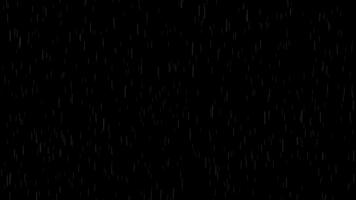 realista pesado lluvia cubrir efecto con individual gotas de lluvia que cae verticalmente en un transparente fondo, Perfecto para digital composición video