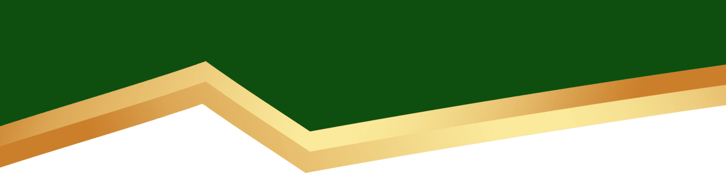 gräns form för baner design. grön rubrik sektion med gyllene linje. abstrakt botten bakgrund för webb sida. böjd delare mall. horisontell separator. png