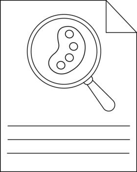 A sheet with lines has a magnifying glass examining a kidney bean and small circles A top corner is folded vector