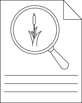 A sheet with a magnifying glass over a cattail drawing and three lines vector