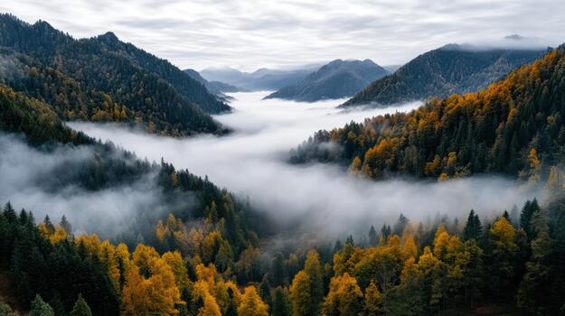 A view of the mountains and trees in the fall photo