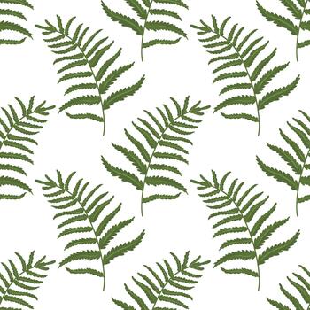helecho hoja sin costura patrón, botánico fronda antecedentes. helecho repetir patrón, follaje antecedentes vector