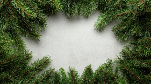 Christmas wreath frame with green fir branches on white background photo
