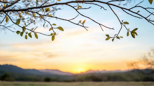 A tree branch with leaves in front of a sunset photo