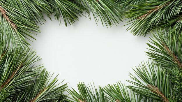 Christmas wreath frame with pine branches on white background photo