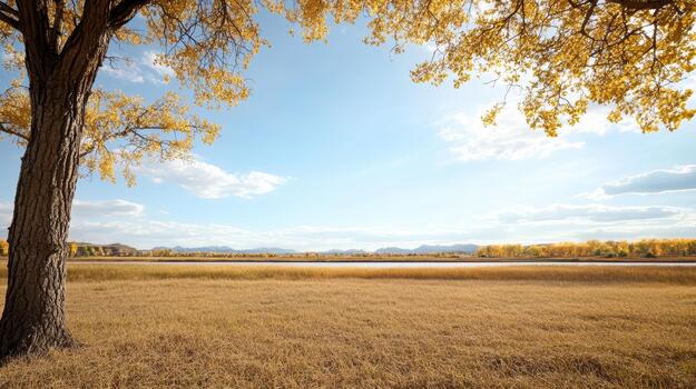 A tree with yellow leaves and a bench in the grass photo