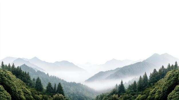 A mountain road with trees and fog in the background photo