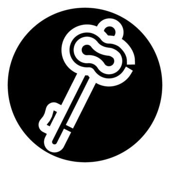 Key icon symbolizing security, access, and solution vector