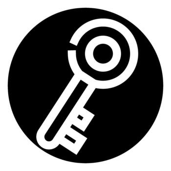Security key icon for access and unlock concepts vector