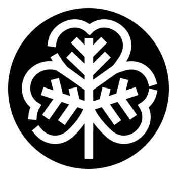 Clover shamrock leaf and snowflake symbol combined vector