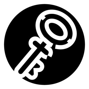Key icon symbolizing security solution and access vector