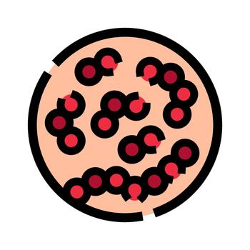 Streptococcus bacteria microscopic view causing infection vector