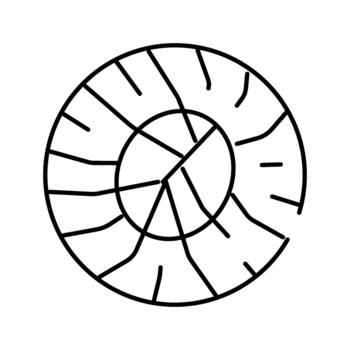 Ammonite shell fossil drawing with chambered structure vector