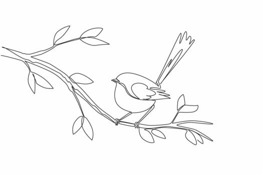 Continuous one line drawing fairy wren perched on a tree branch with leaves. Singing with secret password for future child. International Dawn Chorus Day. Single line draw illustration vector