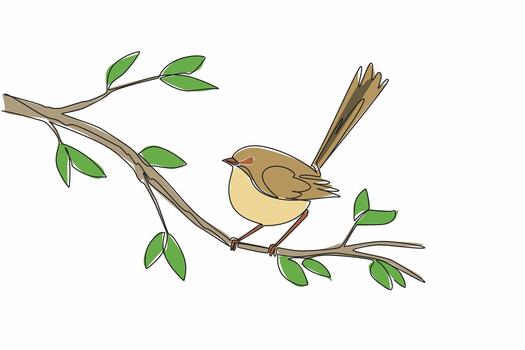 Continuous one line drawing fairy wren perched on a tree branch with leaves. Singing with secret password for future child. International Dawn Chorus Day. Single line draw design illustration vector