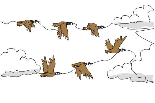 Continuous one line drawing mallards fly in mass formation. Safest formation flying in group. The best time to breed is in autumn. World Migratory Bird Day. Single line draw illustration vector