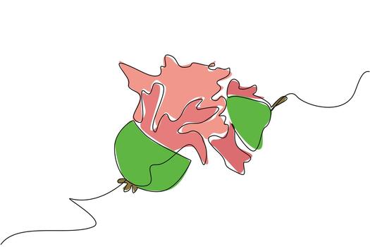 Single continuous line drawing guava cut into 2 parts and the bottom part that is cut comes out splash juice. Creative visualization. Enjoying guava. Juice Splash. One line design illustration vector