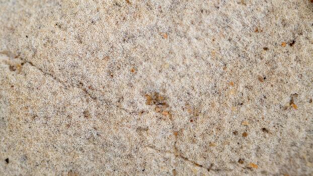 Abstract Macro Texture of Fibrous Material Embedded with Sand photo