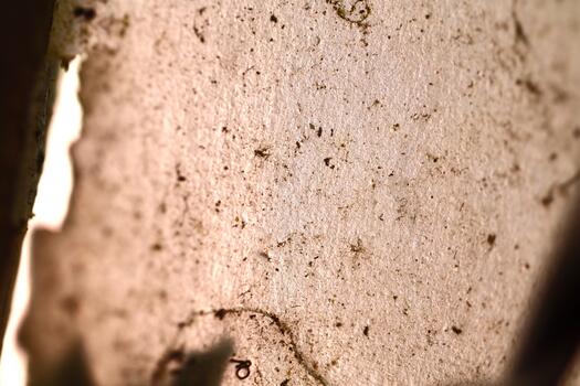 Rough Texture of Peeling Guava Tree Bark photo