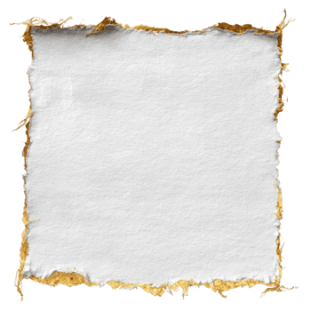 blanco cuadrado papel con rústico Rasgado bordes destacado por un reluciente oro frontera aislado en transparente antecedentes png