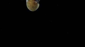 potatisar faller under vatten på en svart bakgrund. filmad på en hög hastighet kamera på 1000 fps. hög kvalitet full HD antal fot video