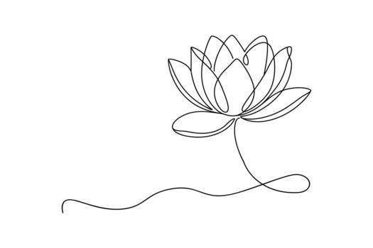 Elegant single line drawing of a blooming lotus flower with a flowing stem on a white background vector