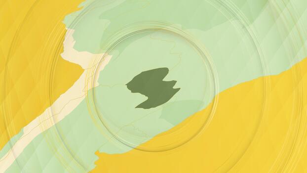 resumen mapa de paraguay y rodeando regiones con circular patrones. vector