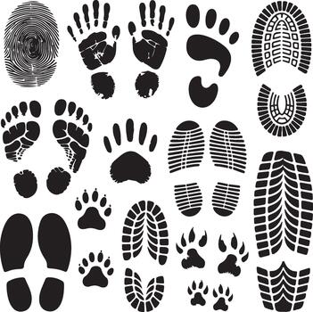 Diverse collection of footprints and handprints, showcasing different types of tracks from humans and animals vector