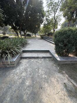 Serene Garden Walkway with Greenery and Concrete Path photo