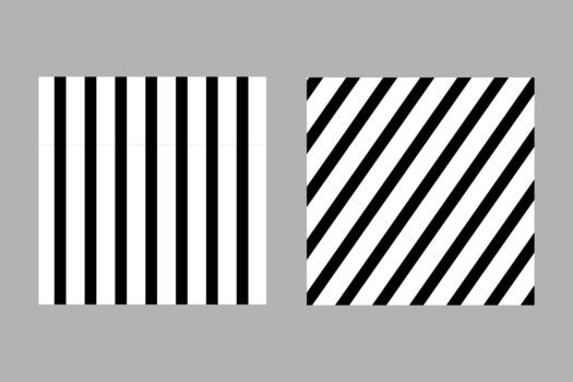Striped pattern. Repeating background with vertical and diagonal stripes. Black and white strip backdrop. Abstract texture for textile, print, flannel, fabric. Minimalistic lines rapport for design vector