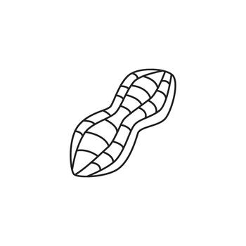 Simple, minimalistic line art illustration of a peanut, showcasing its distinct segmented shell in a clean, modern style vector