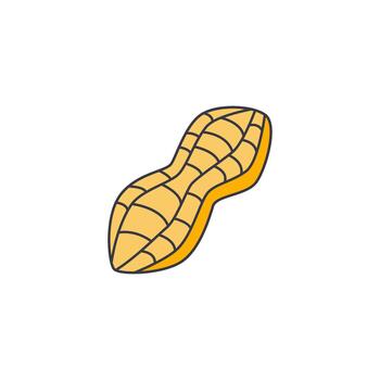 Hand-drawn illustration of a single peanut with segmented lines on a white background, representing a healthy snack option vector