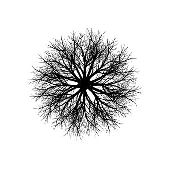 desnudo árbol ramas parte superior ver silueta. vector