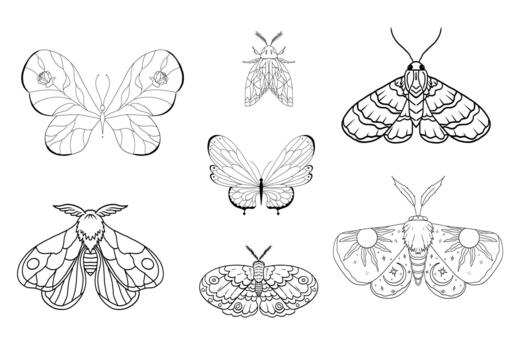 Celestial moth, butterfly line magic mystical tattoo set. Universe wing moth. Celestial occult moon sketch. Line animal drawing design. Esoteric totem boho insect with space wings. vector