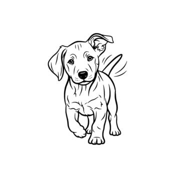 A charming line art illustration of a playful pitbull puppy with floppy ears and a wagging tail running forward with enthusiastic energy vector