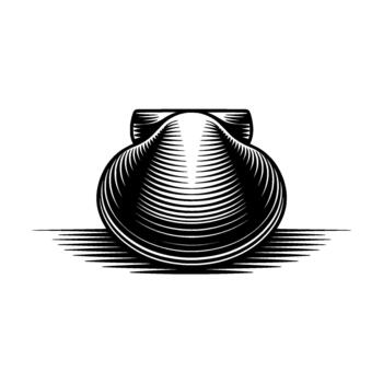Detailed line art illustration of a single scallop shell with intricate radiating lines and a distinct shadow effect vector
