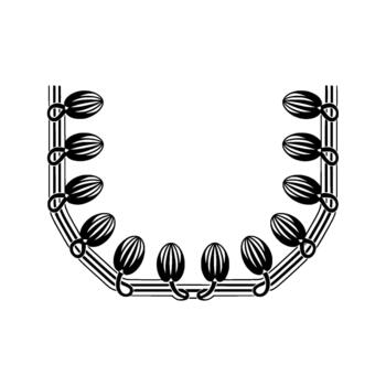 A decorative art nouveau inspired border featuring a repeating pattern of stylized oval seed pods or buds connected by curved lines vector