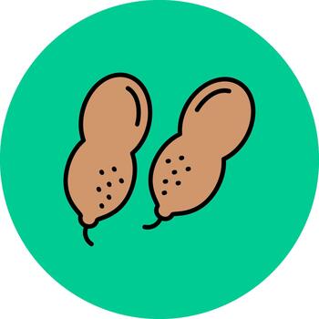 Peanut Artistic Grid Feature vector