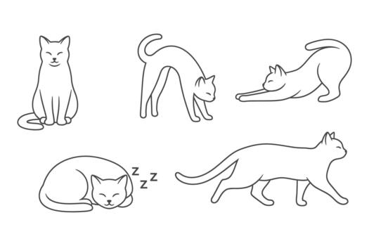 Cat outline set with sitting, stretching, sleeping, walking pose isolated on white background vector