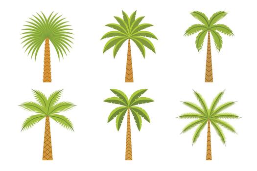 Palm tree set isolated on white background for summer and tropical concept vector