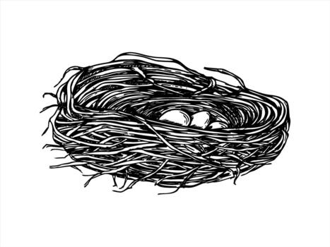 wild bird nest cradling three small white eggs isolated illustration painted by black inks. Forest nest made of dried branches etching drawing. For wildlife conservation content, spring design vector