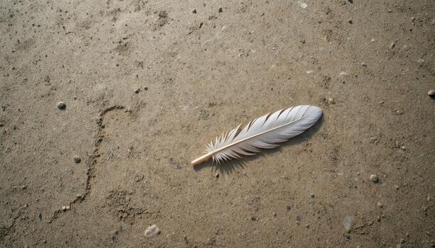 Feather Resting Gently on a Sandy Surface Under Natural Light in a Calm Outdoor Setting photo