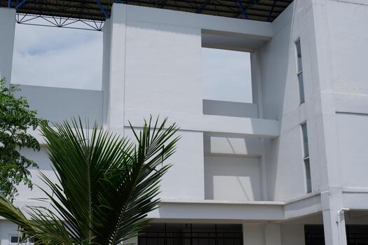 Modern Architectural Facade White Building with Palm Tree in Foreground photo