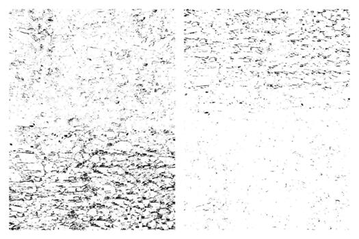 Dense and subtle grunge urban textures. Distressed overlay texture set. Grunge backgrounds. Abstract textured effects. vector