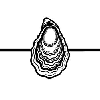 A minimalist illustration of an open oyster shell with swirling patterned interior and a bold horizontal dividing line vector