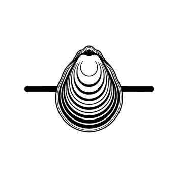 Minimalist illustration of a abstract clam shell with concentric radiating lines centered vector