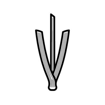 Minimalist abstract illustration of three stylized blades of grass or reeds converging at a single point vector