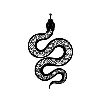 un detallado ilustración de un enroscado serpiente con intrincado escala modelo y un ahorquillado lengua extendido presentado en un minimalista estilo vector