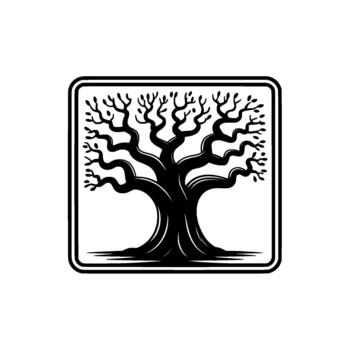 Stylized silhouette of a mature ancient oak tree with gnarled branches and sparse leaves enclosed within a rounded square border vector